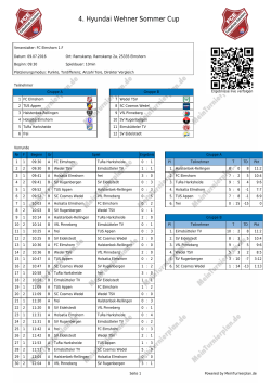 4. Hyundai Wehner Sommer Cup