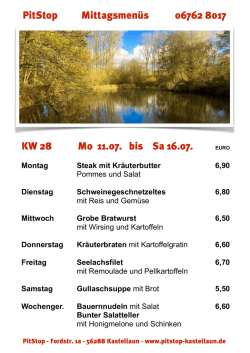 Downloadlink - PitStop Kastellaun