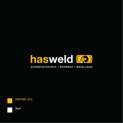 LOGO Hasweld_BG