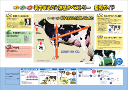 乳牛まるごと体感タペストリー 指導ガイド - J-milk