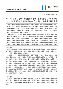 キイロショウジョウバエの生物タイマー機構を分子レベルで解明