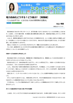 記事全文（PDF） - NPO法人 国際環境経済研究所｜International