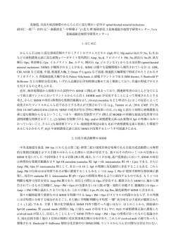 北海道, 日高火成活動帯のかんらん石に富む斑れい岩中の spinel