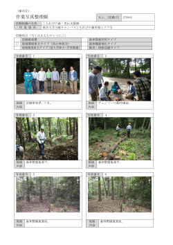 チェンソー研修と森林整備活動