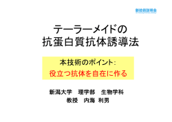 発表資料