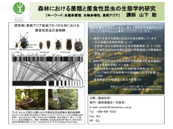 概要はこちら