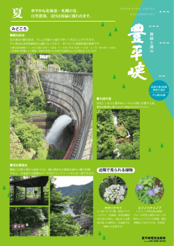 豊平峡7月のオススメ