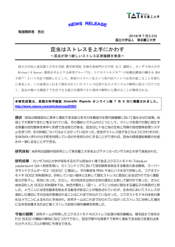 昆虫はストレスを上手にかわす