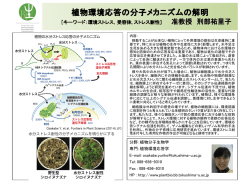 刑部祐里子准教授