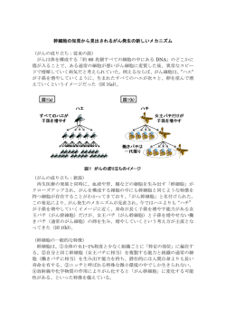 別紙参照