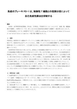 制御性 T 細胞との役割分担によって 自己免疫性膵炎を抑制する