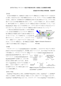 分子ｶﾌﾟｾﾙ/ﾅﾉｼｰﾄ超分子複合体を用いた新規人工光捕集系の構築