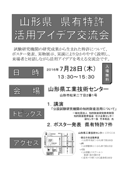 案内チラシ (PDF documentファイル サイズ： 293Kb)
