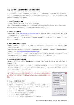 ImageJを使用した組織立体構築