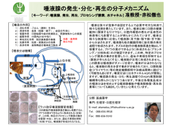 概要はこちら