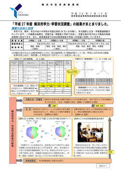 記者発表資料（PDF形式 781KB）