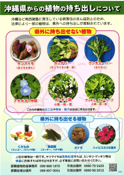 沖縄県からの植物の持ち出しについて