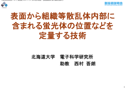 表面から組織等散乱体内部に 含まれる蛍光体の位置などを 定量する技術