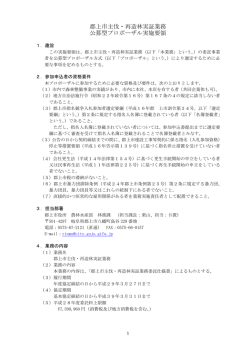 募集要項（PDF 442kb）