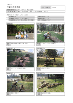 森林整備施業と薪割り・チッパー体験会