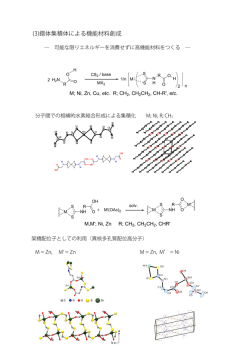 (3)錯体集積体による機能材料創成