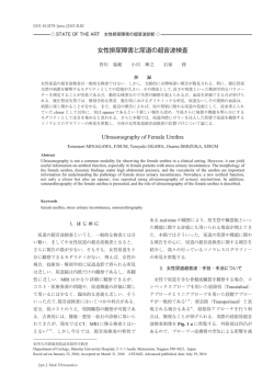 女性排尿障害と尿道の超音波検査