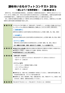 募集要項(PDF文書)