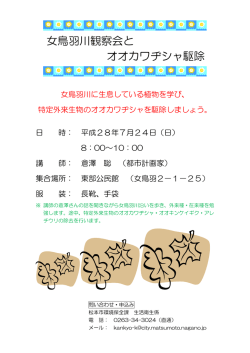 女鳥羽川観察会と オオカワヂシャ駆除