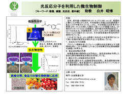 概要はこちら