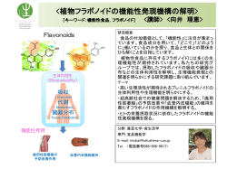 概要はこちら