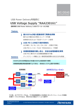 USB Voltage Supply ”RAA230161”