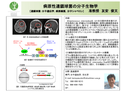 概要はこちら