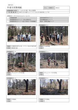 作業写真整理帳