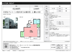 資料PDF