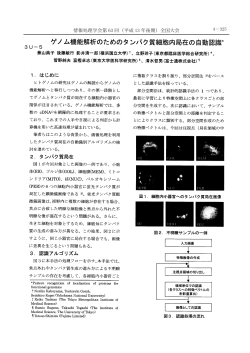 IPSJ-Z63-3U-05.