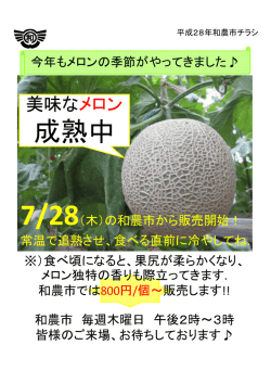 成熟中
