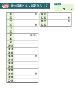 解答欄17