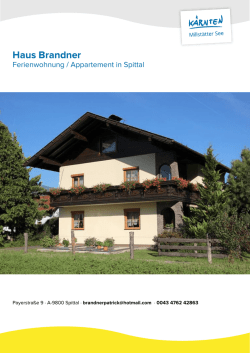 Haus Brandner in Spittal