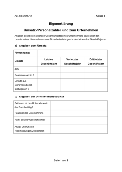 Eigenerkl&auml;rung Umsatz