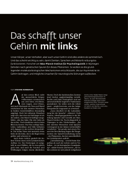 Das schafft unser Gehirn mit links - Max-Planck