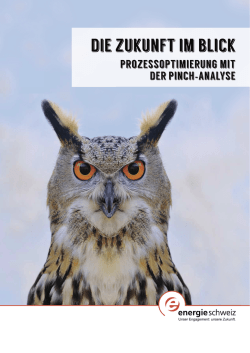 Die Zukunft im Blick - Pinch