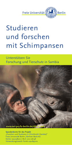 Studieren und forschen mit Schimpansen