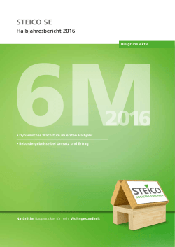 Konzernlagebericht der stEico sE zum 30. Juni 2016