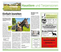 Haustiere und Tierpensionen als PDF lesen