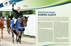 robins glück - Mecklenburger Pferde
