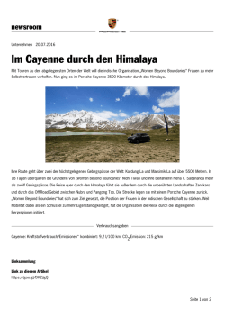Im Cayenne durch den Himalaya