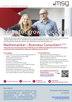 Mathematiker / Business Consultant m/w