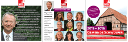 Gr Schwülper Bilanz 2016 - SPD