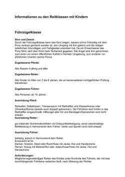 Informationen zu den Reitklassen mit Kindern