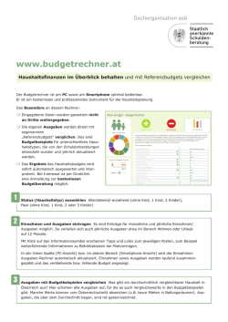 Infoblatt: Wie verwende ich den Budgetrechner?